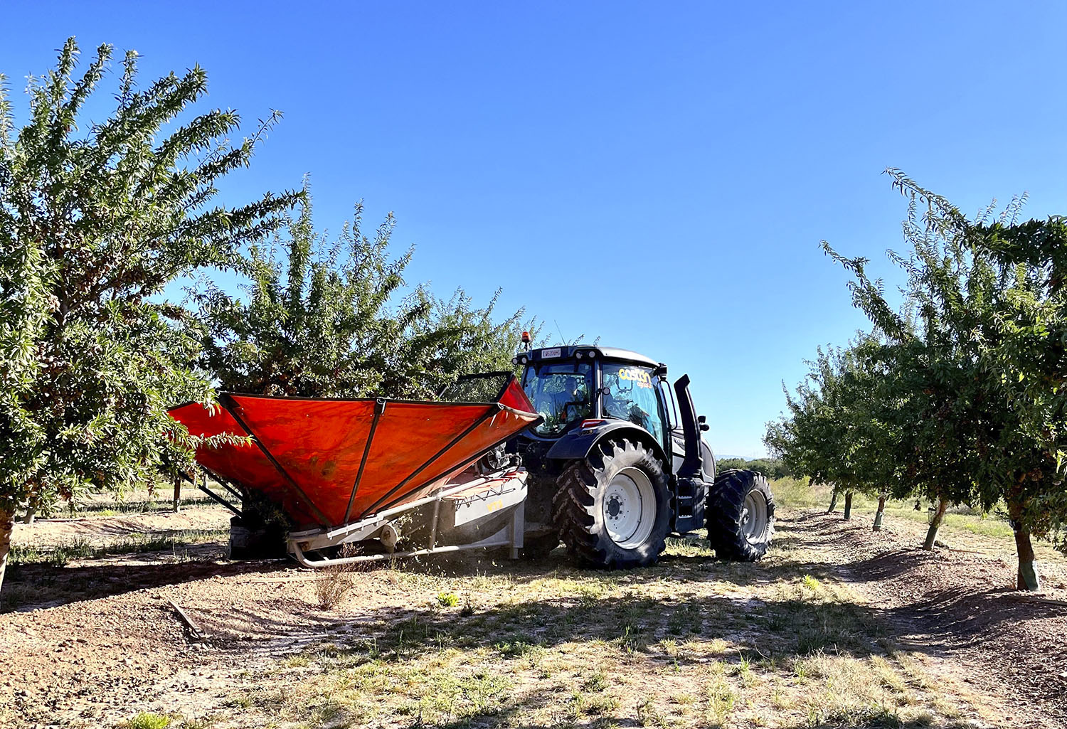 The Valtra N155 with the TwinTrac reverse drive system operated an umbrella harvester for almonds. The harvested almonds were unloaded onto a trailer.